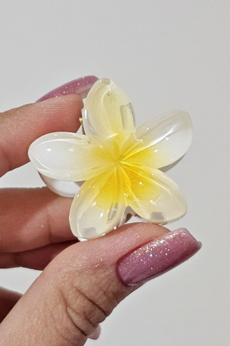 کلیپس پلومریا سایز کوچیک